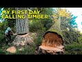 Arborist Pretends to be Timber Faller For a Day!