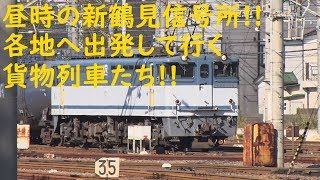 2019/11/04 [貨物列車] 昼時の新鶴見信号所!! 各地へ出発して行く貨物列車たち!!