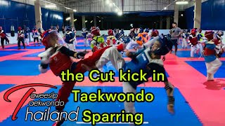 Taekwondo shortcut Ep.9  Train styles Coach K H E M.  the Cut kick in Taekwondo Sparring