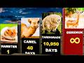 Animals That Never Drink Water | Beyond Human Limits