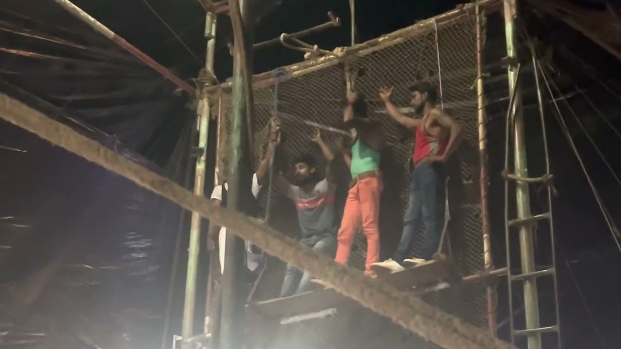 සර්කස් පැසිපියා 01