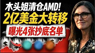 别管英伟达了！木头姐无情抛售AMD，反手将2亿美金砸向这4只“暴跌20%”的隐形巨兽