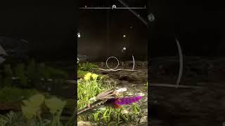 La barriera corallina? 🤔 #shortsfeed #shortsgaming #gaming #larapadawan #horizonforbiddenwest