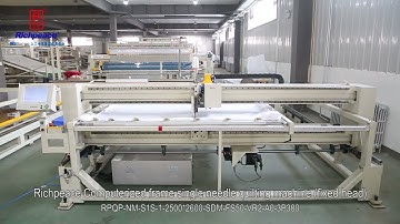 Richpeace Computerized frame single needle quilting machine fixed head
