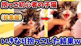 【2ch動物スレ総集編】抱っこ初心者の子猫 → いきなり抱っこした結果www