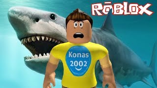 Roblox Escape the Shark Obby ! || Roblox Gameplay || Konas2002