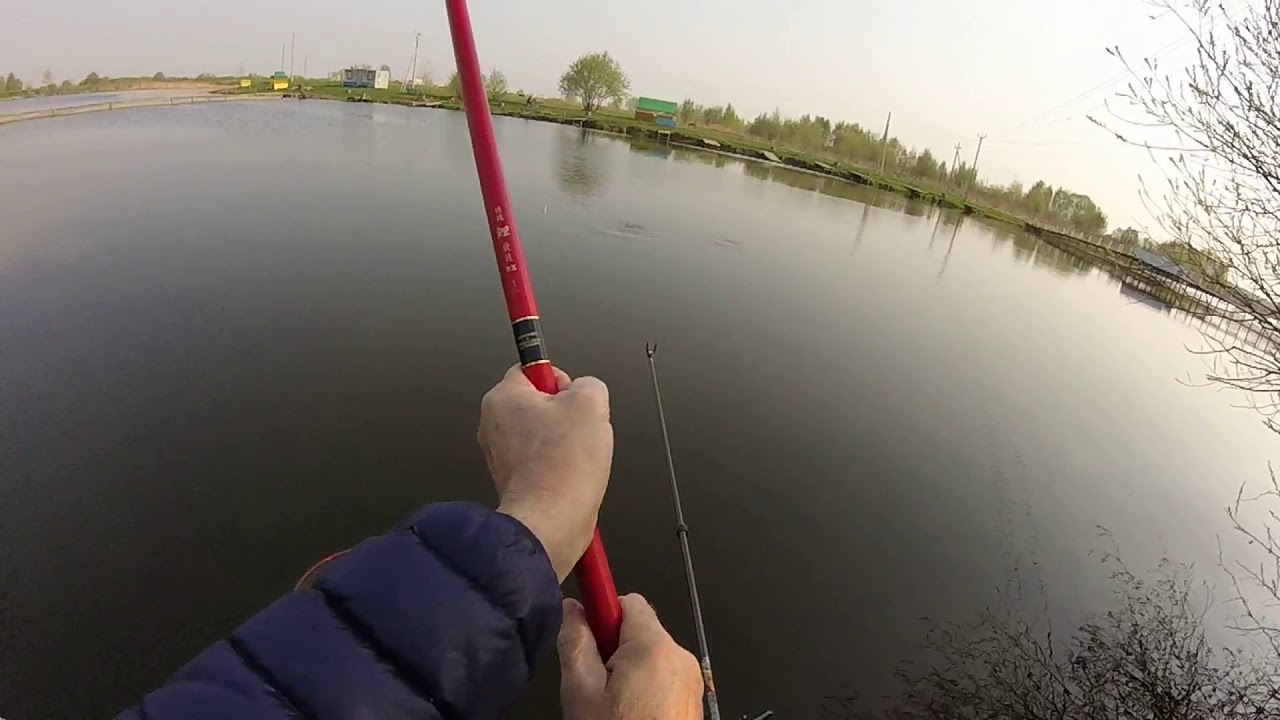 Платная рыбалка рыбалка озеро Игумное. Озеро Игумное Лагуна. Оз Игумное рыбалка. Игумное озеро Раменский район