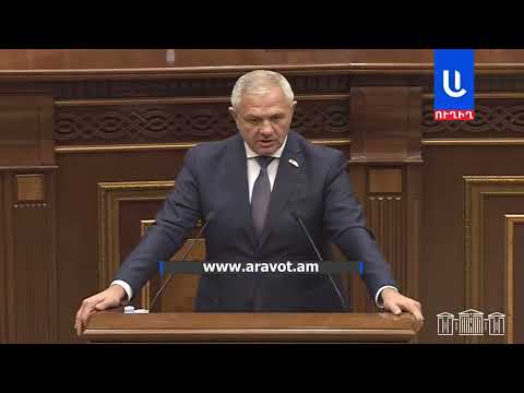 Էսօր ո՞ւր էին ձեր կոկոշները, թուրքի զինվորը ներթափանցել է ՀՀ տարածք․ Մամիկոն Ասլանյան