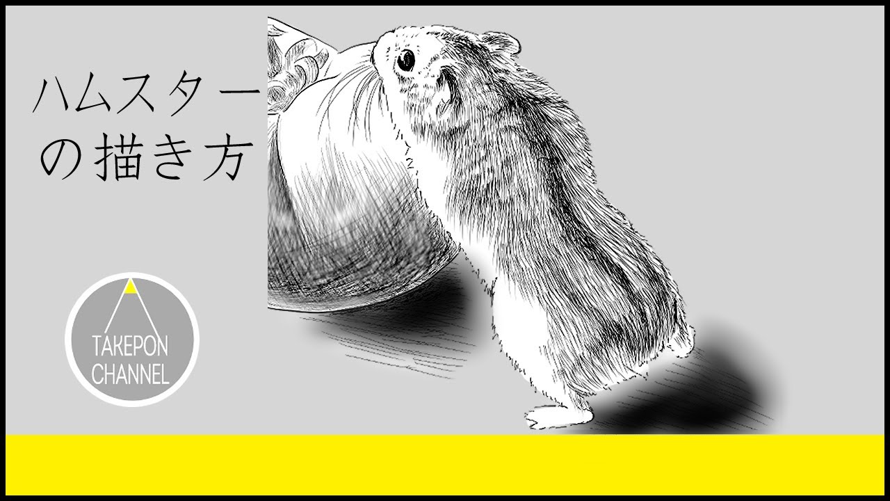 動物の描き方 ハムスターのリアルなイラストが誰でも簡単に上手くなる方法 How To Draw Hamster Youtube