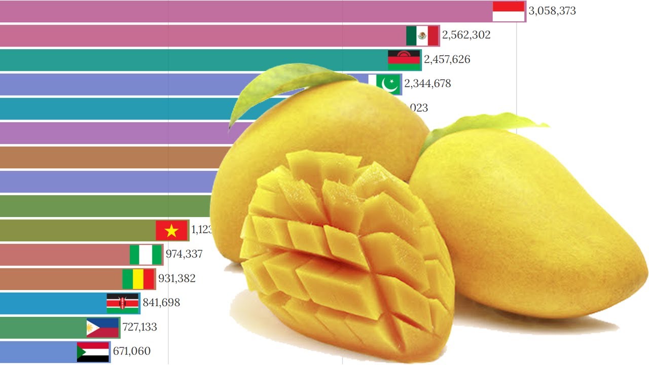 Data Is Beautiful World Production of Mangoes by Country (1961 2021