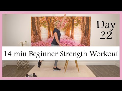 14 minute Upper Body & Core Strength Workout for Beginners & Seniors | Day 22