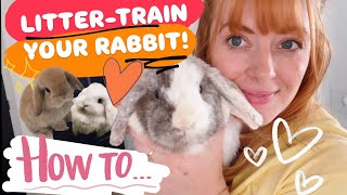 Thumbnail for Smac hacks - HOW to Litter Train a BUNNY?