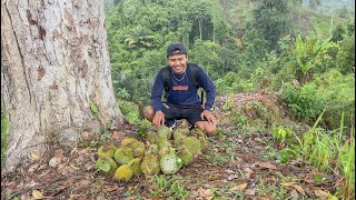 Nginap dirumah pohon sambil pasang pancing sidat dan cari buah durian digunung🤤 #KOOKIKO