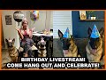 MY BIRTHDAY LIVE STREAM!