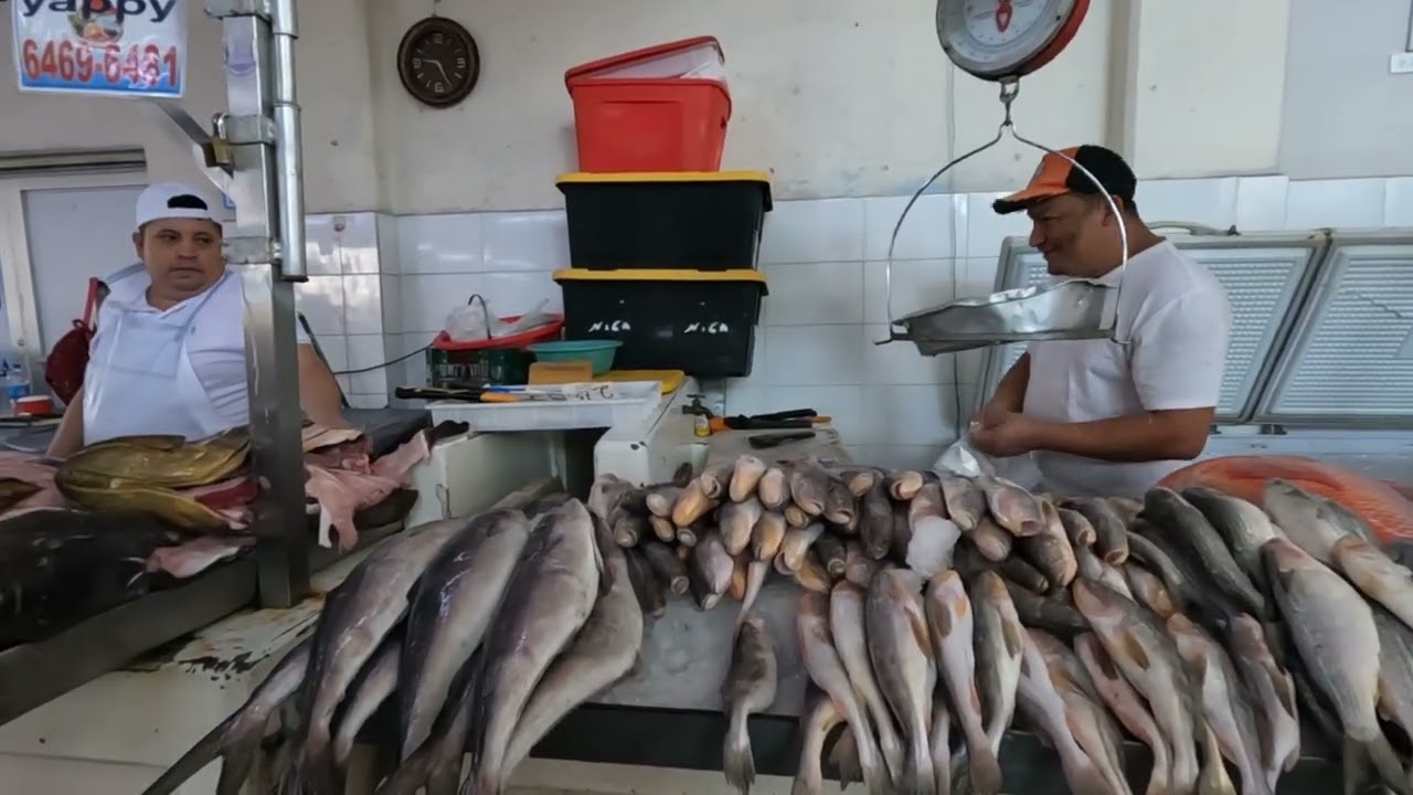 07/26#VLOG ЗАКУПКА ДЛЯ РЕСТОРАНА/РЫБНЫЙ,МЯСНОЙ,ОВОЩНОЙ РЫНОК/SUPER KOSHER/ОБЗОР/ЦЕНЫ/ПАНАМА