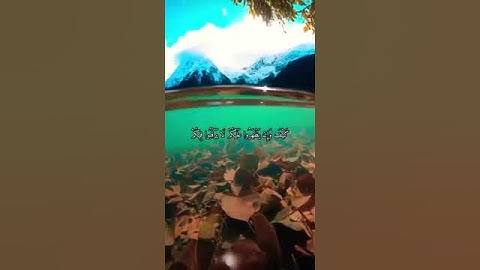 واتس اب قران كريم القارئ ياسر الدوسري (سورة التوبة)