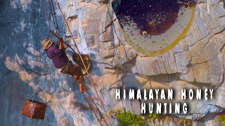 Himalayan  Honey Hunters of Nepal  || if you need CLIFF HILL honey  9804942260 ( Nepal )