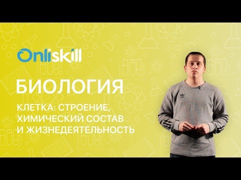 БИОЛОГИЯ 8 класс: Клетка: строение, химический состав и жизнедеятельность