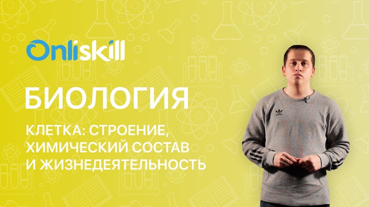 БИОЛОГИЯ 8 класс: Клетка: строение, химический состав и ...