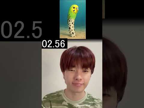 これで天下とります インコのところめっちゃ似てないですか Sahur Tungtungtung Brainrot 鬼滅の刃 