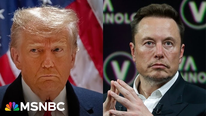 Trump Is Afraid Msnbc Panel Reacts To Reported Trump Musk Meeting