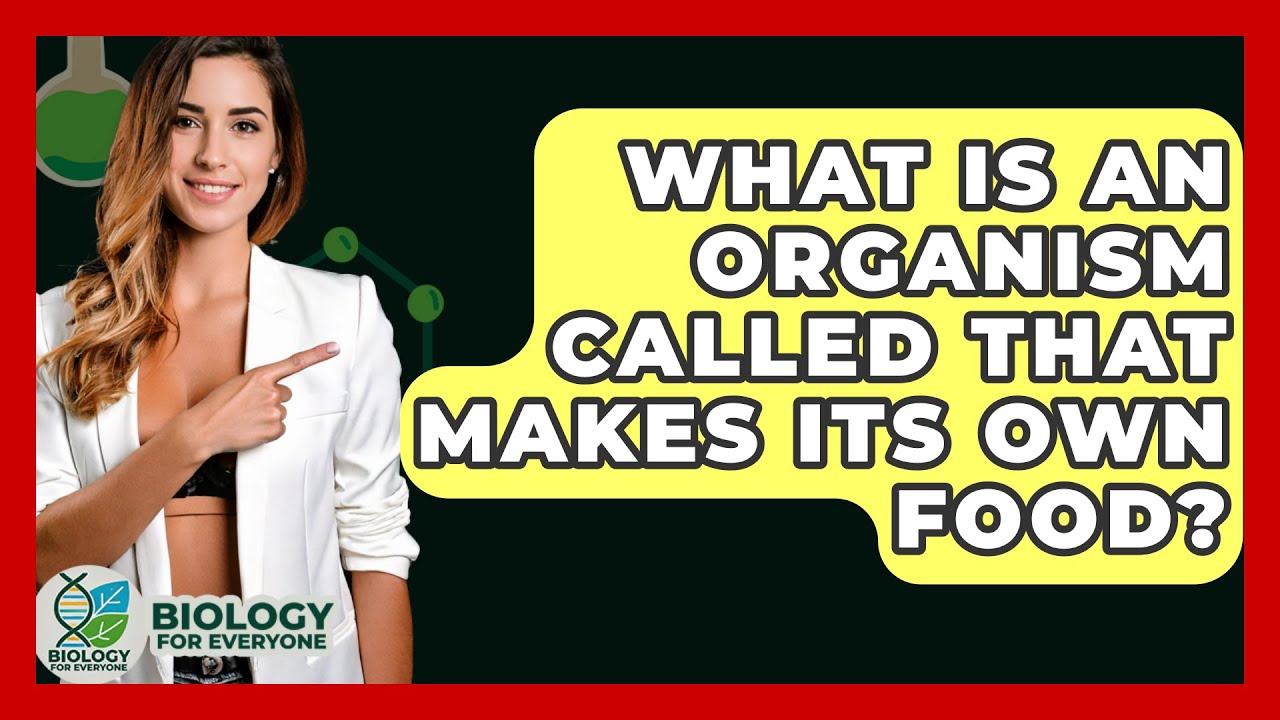 What Is An Organism Called That Makes Its Own Food? - Biology For Everyone