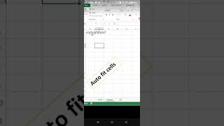 automatically fitting data in cell by using view code