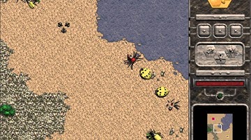 [Swarm Assault] Level 06: Expand and Destroy