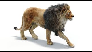 PROmax 3D Models 2018 | PROmax3D
