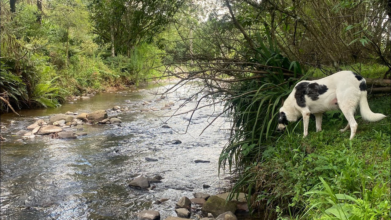 Terreno à venda em Urubici com Rio
