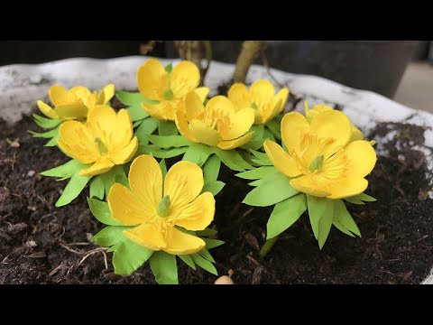 ABC TV | How To Make Winter Aconite Paper Flower - Craft Tutorial