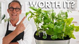 We Grew Our Own Herbs Indoors with LetPot… Was It Worth It?