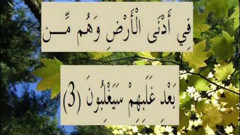 القران الكريم سورة الروم الأية 3.wmv