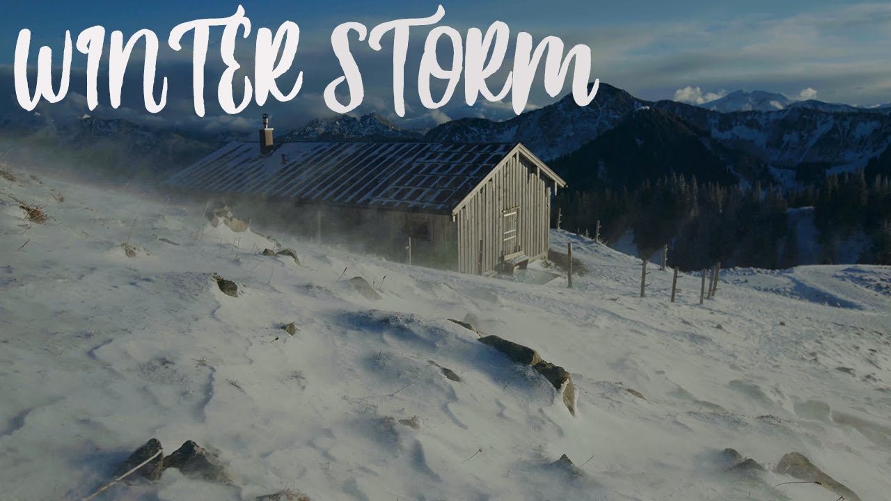 Winter Storm Ambience with Icy Howling Wind Sounds for Sleeping in 8K ...