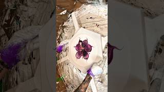 Watch How This Piece Comes Alive