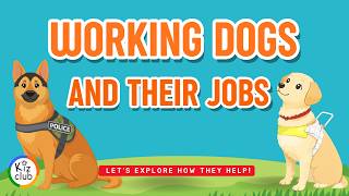 Dog Jobs for Kids Working Dogs and Their Jobs Types of Dogs
