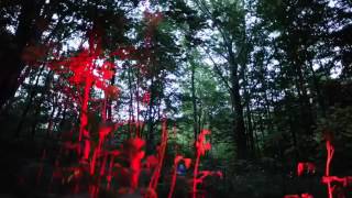 Firefly mating in the Smokies