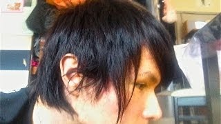 就活する為に半分だけ黒染めして見た！　PDS