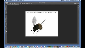 How to create a custom brush in Photoshop quick guide tutorial