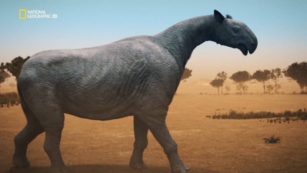 National Geographic Top 10 Biggest Beasts Ever