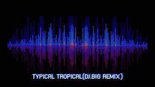 TYPICAL TROPICAL - DJ.BIG REMIX