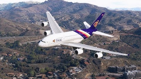 the carelessness of an airplane pilot 46