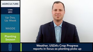 Thursday’s WASDE report lifts Grains futures on Friday. 4/11/25