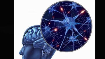 Why does modularity evolve? The evolutionary origins of modularity