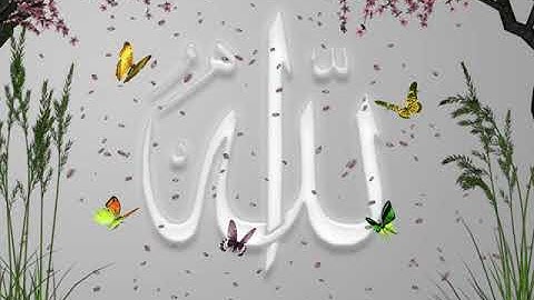 66 - سورة التحريم تلاوة مجودة القارئ فارس عباد - تلاوة تخشع لها القلوب