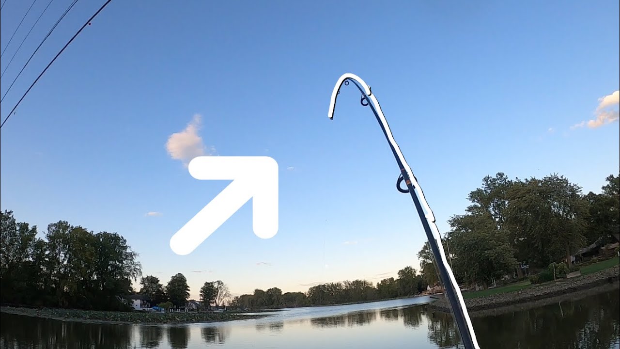 Using Nightcrawlers To Catch Big Catfish! YouTube