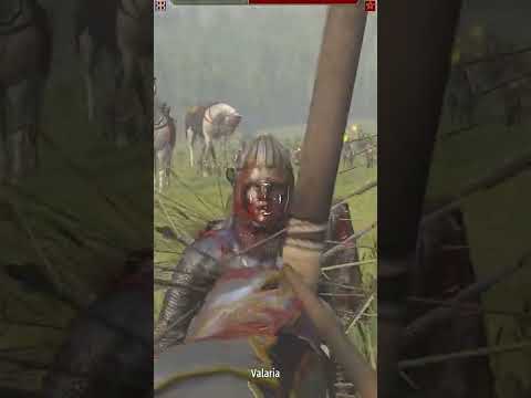 Bannerlord mods that got me 3 million likes on my TikTok videos