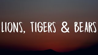 Jazmine Sullivan - Lions, Tigers & Bears (Lyrics) 'I'm not scared of lions and tigers and bears'