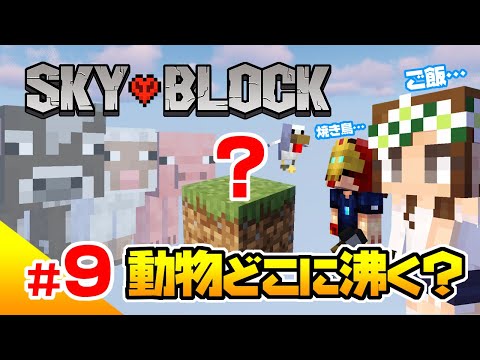 マインクラフト 09 スカイブロック 空島に動物をスポーンさせたい 空島二人暮らし ハードコア Youtube