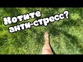 Закрывается дверь и все заканчивается!